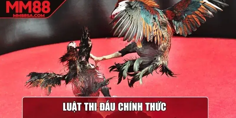 Luật thi đấu chính thức