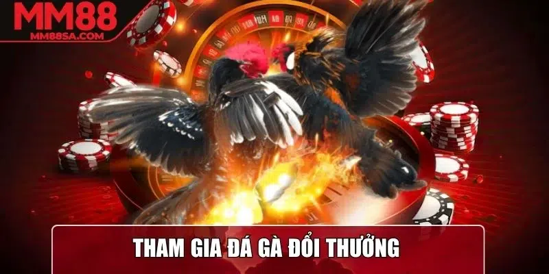 Tham gia Đá Gà đổi thưởng